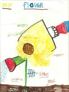 Bug's Drawing of a Flower and a Watering Can