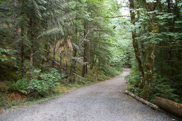 Trailhead Road