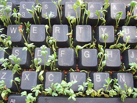 keyboard flowerpot