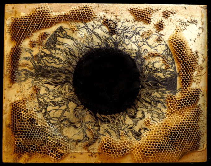 Peering Into the Void, Ladislav R. Hanka