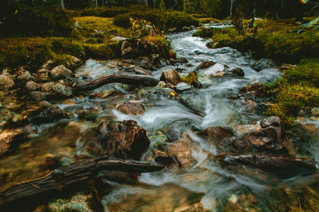 creek_david-latorre-romero