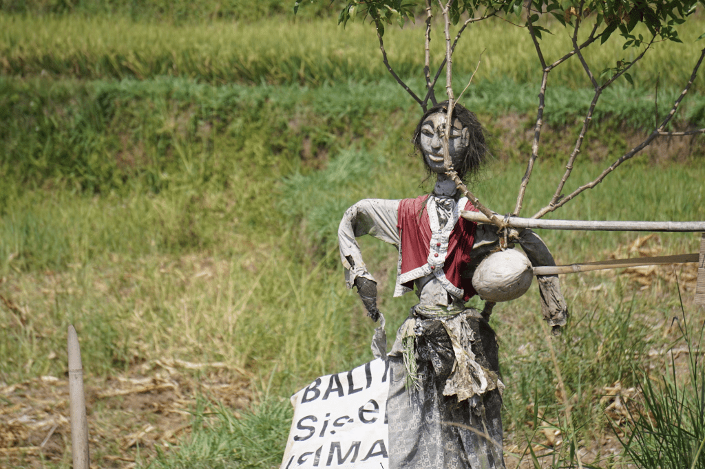 Photo by Beth Macdonald on Unsplash
Color photo of a scarecrow with hair and a red vest propped against a spindly tree in a green and brown field.