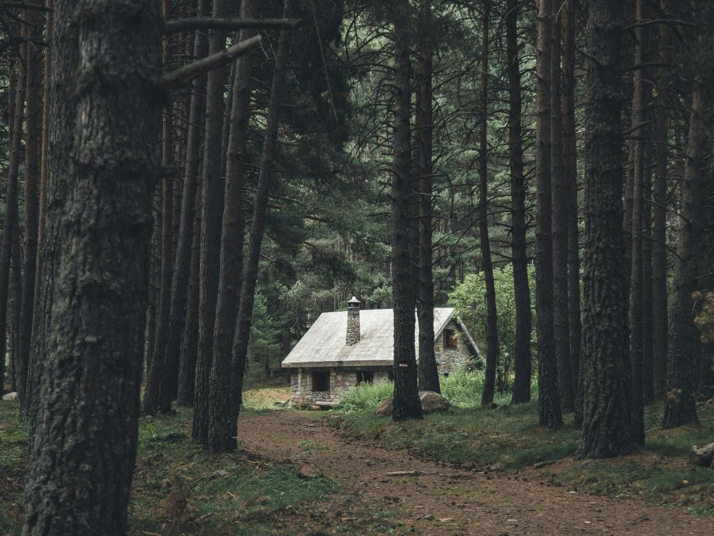 Photo by Mikel Ibarluzea on Unsplash. Color image of a forest of tall evergreen trees towering over a trail that leads to a small gray stone cabin in the distance